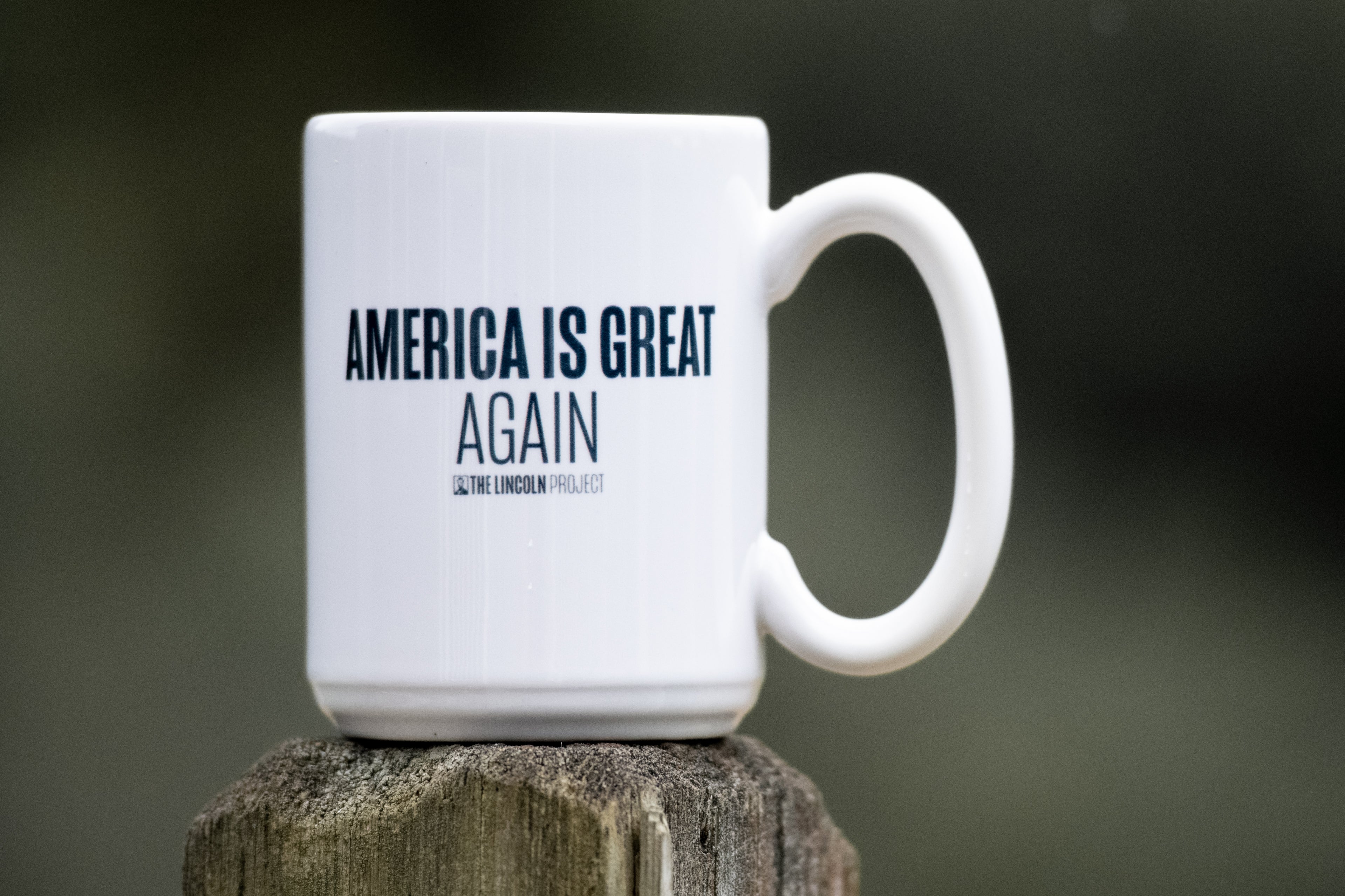 America is Great Again Mug  The Lincoln Project